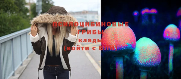 меф Елизово