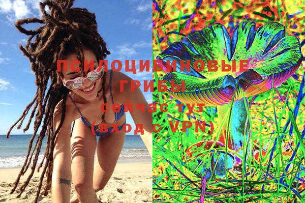 шишки Елабуга