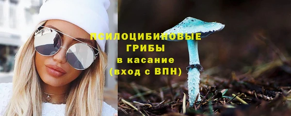 меф Елизово