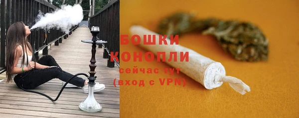 шишки Елабуга