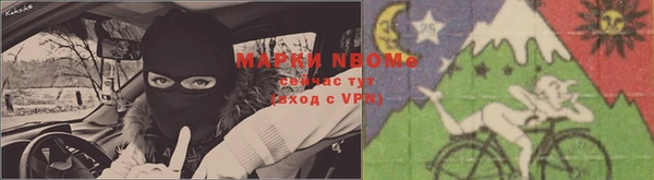 шишки Елабуга