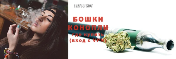 шишки Елабуга