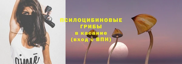 шишки Елабуга