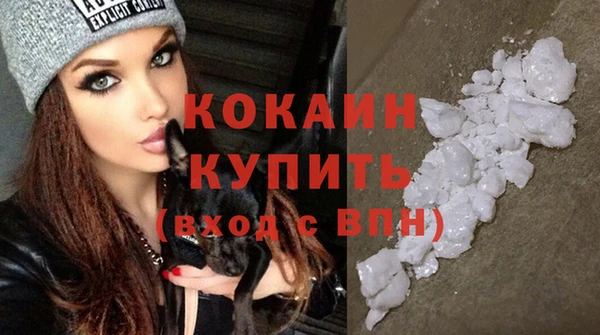 шишки Елабуга