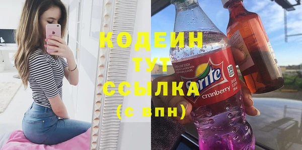 шишки Елабуга